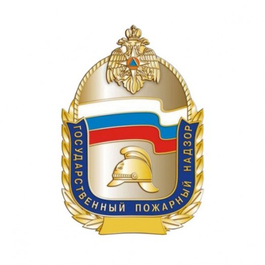 Знак «Государственный пожарный надзор» (ГПН МЧС)